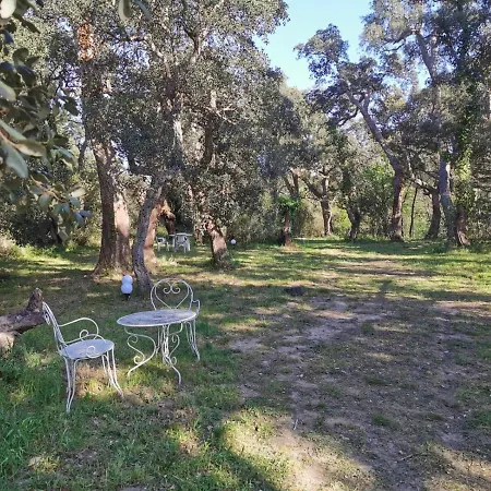 Appartement Les Pierres De La Massane - Vue Sur Les Alberes *