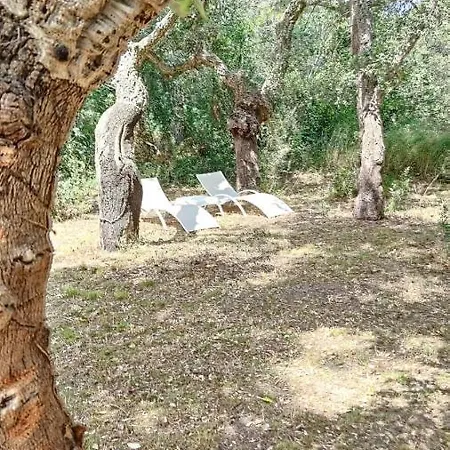 Appartement Les Pierres De La Massane - Vue Sur Les Alberes