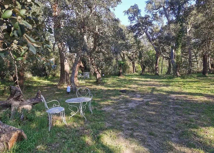 Apartamento Les Pierres De La Massane - Vue Sur Les Alberes *