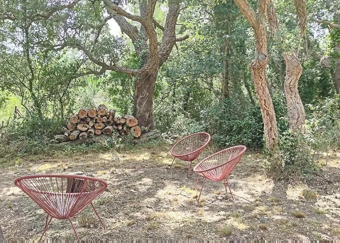 Apartamento Les Pierres De La Massane - Vue Sur Les Alberes